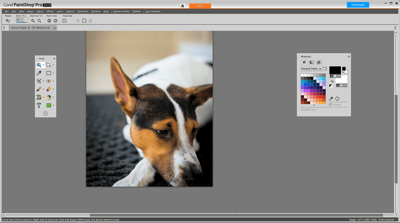 Corel-PaintShop-Pro-foto-redigering